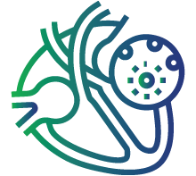 Myocarditis (Inflammation of heart muscle)