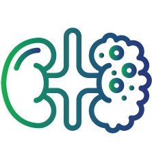 Renal cancer (Kidney)