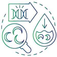 To diagnose sickle cell disease