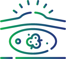 Lumps and bumps in and around the anus, genitals,  mouth,  throat, hands, and feet