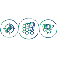 To determine whether symptoms caused are related to an autoimmune hepatitis or not