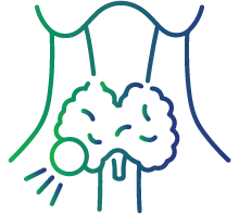 Parathyroid disease