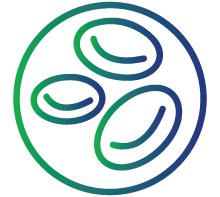 Low levels of blood platelets (Thrombocytopenia)
