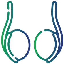 To evaluate the function of the testicles in a baby boy
