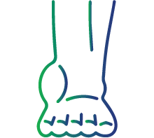 Excessive bruises or bleeding