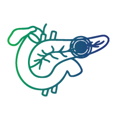 To monitor the functioning of the pancreas