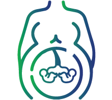 Twins (The protein is being made by more than a single baby