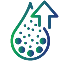 Higher triglyceride (TG)and low-density lipoprotein (LDL)levels in the blood