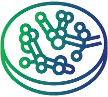 Recurring fungal infections, such as recurrent vulvovaginal candidiasis