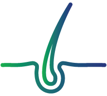 Thinning hair and change in skin texture