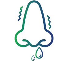 Runny or stuffy nose