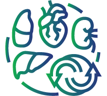 Monitoring and managing immunosuppressive therapy in organ transplants.