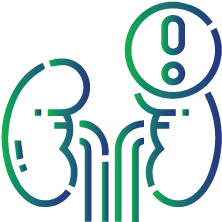 To evaluate vasculitis, glomerulonephritis, and lymphoproliferative diseases (in patients who show symptoms due to cold exposure)