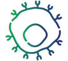 Declining CD4+ T cell count, leading to a weakened immune system.