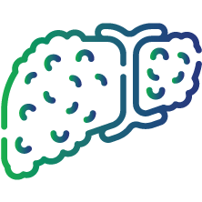 Liver diseases and cancer