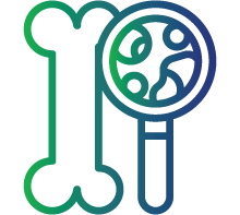 Reduced bone mineral density