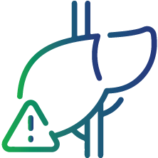 To confirm recent HBV infection in individuals with a positive HBsAg result and elevated liver enzymes