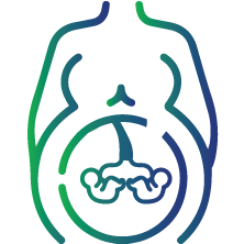 Have one or more than one fetus