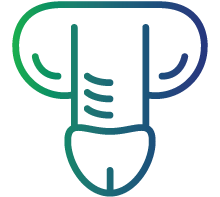Small penis in newborn males