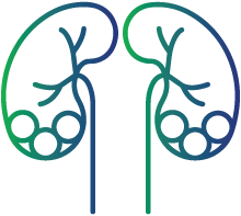 Kidney diseases, like stone formation