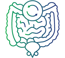 Change in bowel or bladder habits