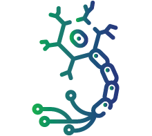 Neuropathy (sensory and motor dysfunction)