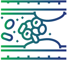 Blood clot formation