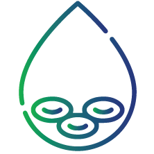 Diagnose various lymphomas