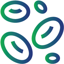 When a person’s peripheral blood smear shows larger than normal red blood cells(macrocytic)