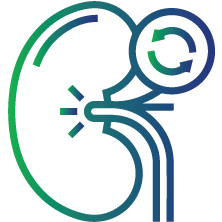 To assess the functioning of transplanted kidney