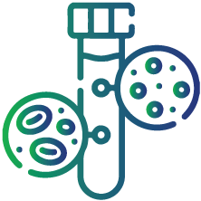 Your complete blood count shows an increased number of RBCs and a high hematocrit and hemoglobin levels