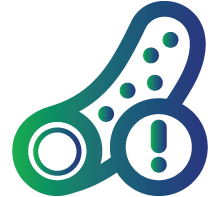 Enlarged blood vessels in the abdomen