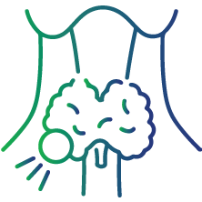 Evaluation of problems of the parathyroid gland