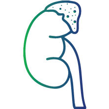 To help diagnose or monitor conditions associated with abnormal dopamine levels