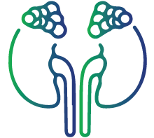 Addison Disease (Adrenal gland)