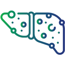 Patients with suspected fatty liver disease or metabolic syndrome.
