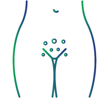 changes in color/thickness of the skin of the genitals