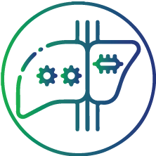 To find out the stage of liver disease in HBV-infected patients and help decide on treatment