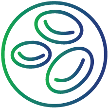 To determine the factors that increase prolonged partial thrombin time (PTT)
