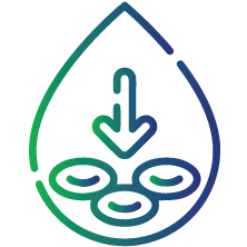 To diagnose pernicious anemia in individuals who suffer from frequent infections