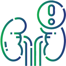 To confirm the presence and absence of kidney disease