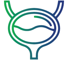 Producing less urine