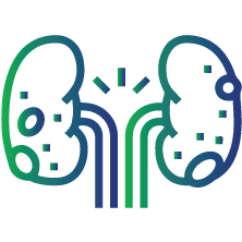 To diagnose patients with kidney diseases