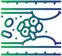 Blood clot formation (thrombosis)