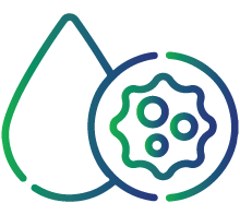 Thrombocytopenia (low platelet count)