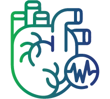 Rapid or irregular heartbeat (tachycardia/palpitations)