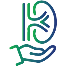 To guide clinicians, develop treatment plans based on the kidney's condition