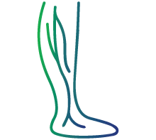 Tingling or numbness in legs and feet