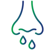 Runny nose, mild fever, and nasal congestion in early stages.