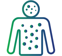 Rashes throughout the body